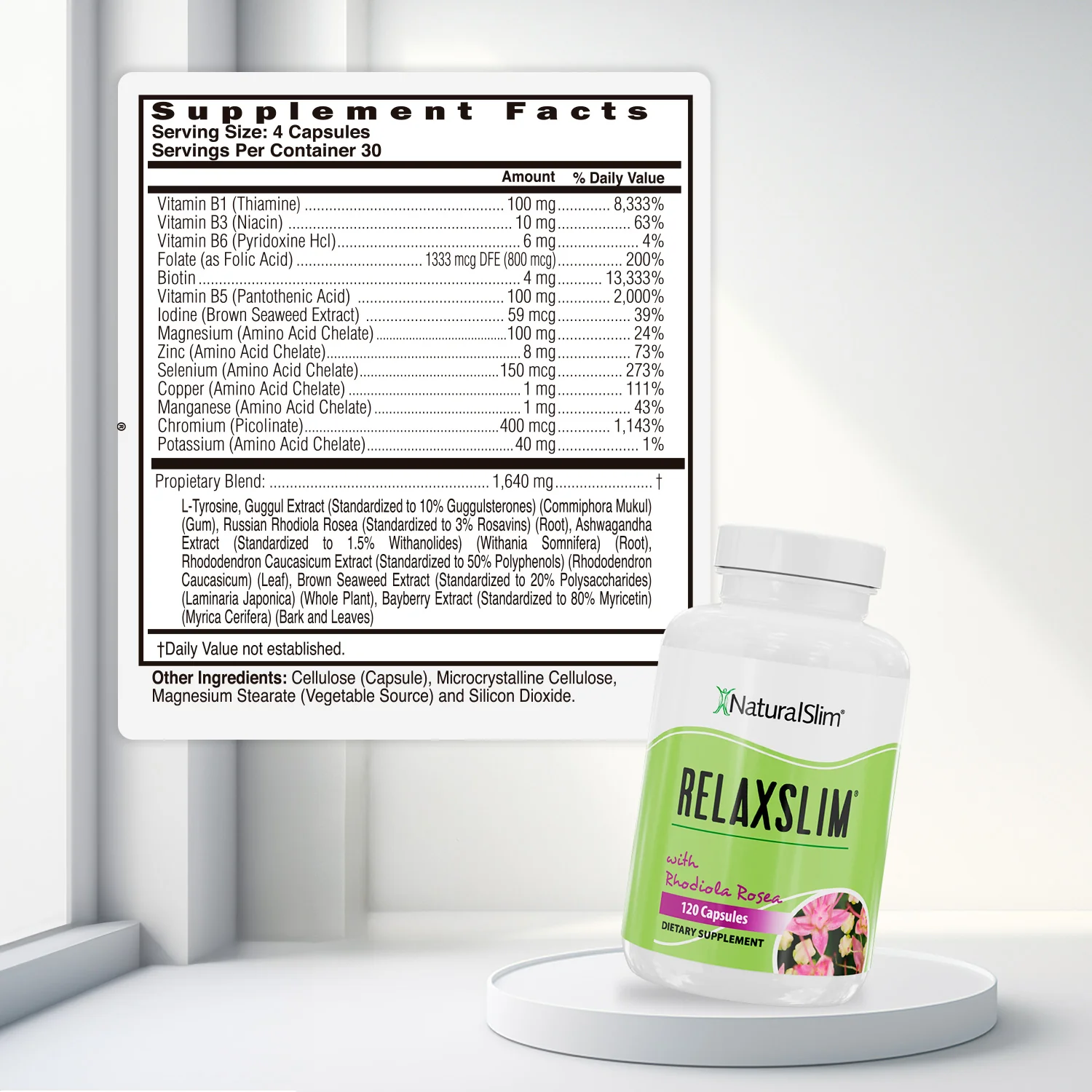Programa Personal de NaturalSlim® (ESPAÑOL) | El Programa Completo Para Perder Grasa y Mejorar tu Metabolismo de Forma Saludable - Image 15